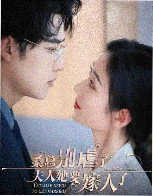 韩国伦理剧《汉江以北的春天》封面