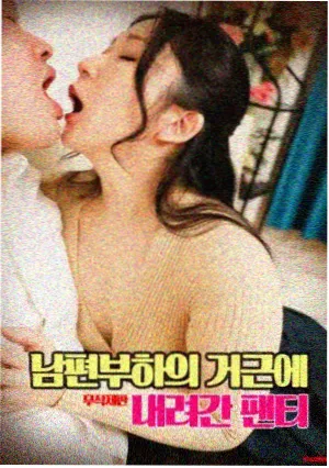 韩国伦理电影《春川的冬天》封面